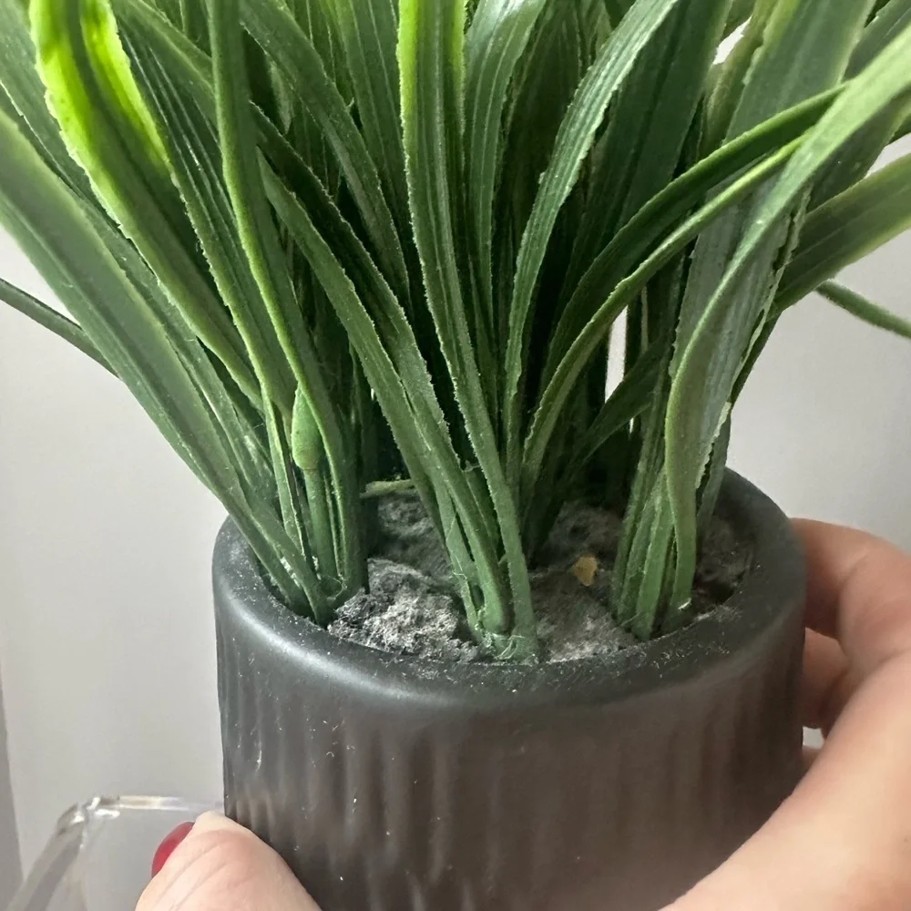 Faux Foliage Grass in Ceramic Pot